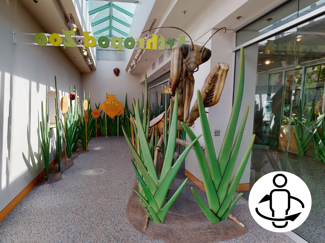 Arthropod Zoo Virtual Tour